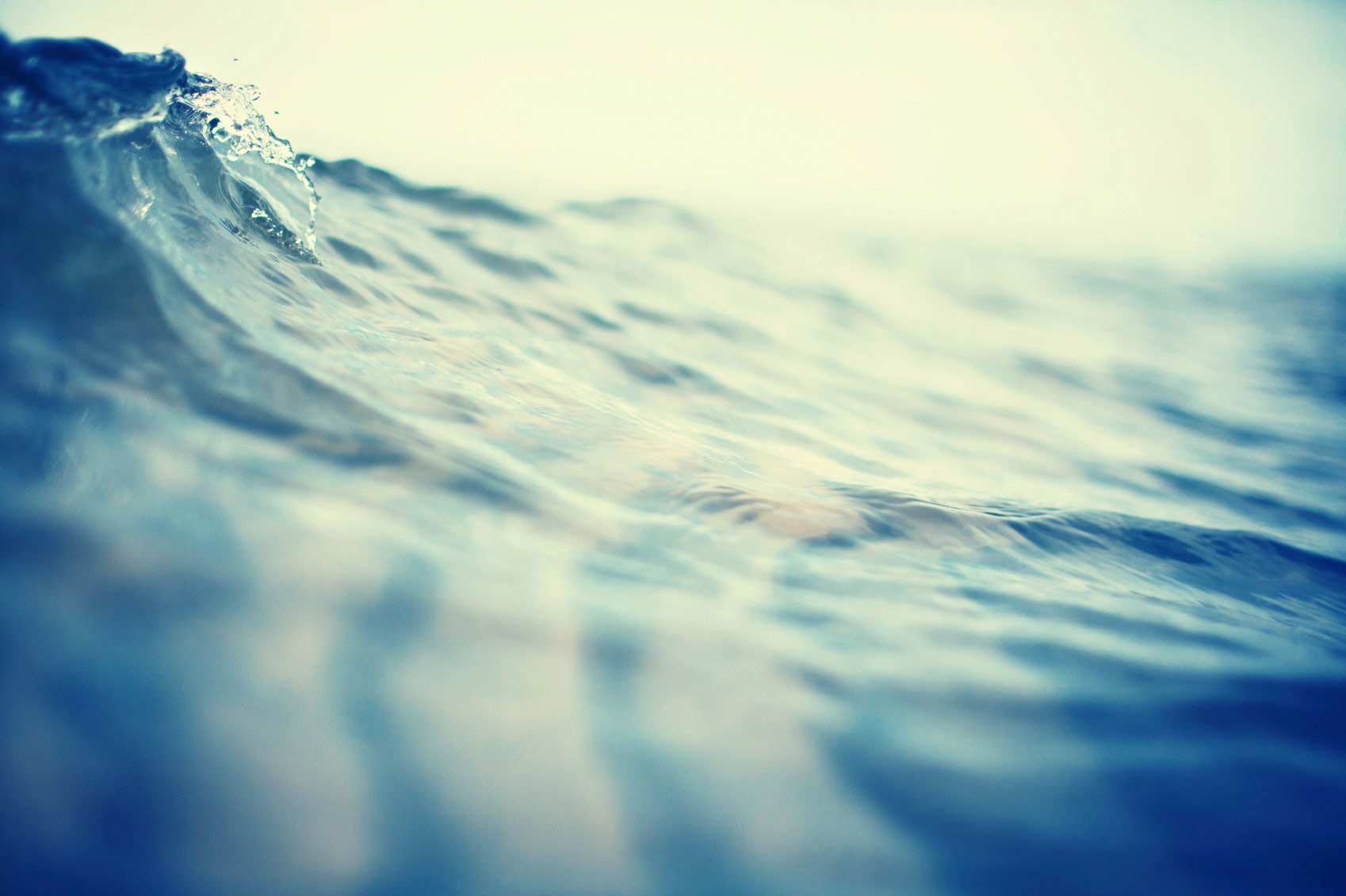 Ocean wave — the ANIE.LA brand image