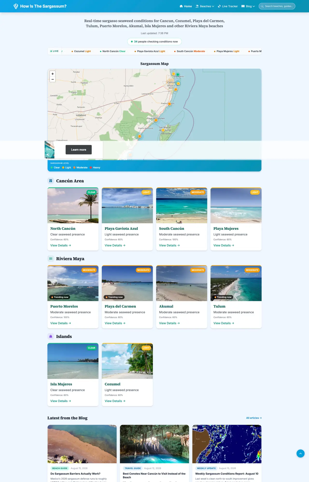 How Is The Sargassum? website, desktop view